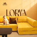 MES-LORYA5.webp