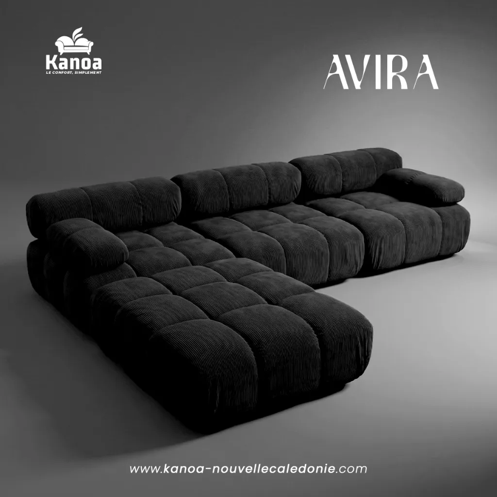MES-AVIRA4.webp