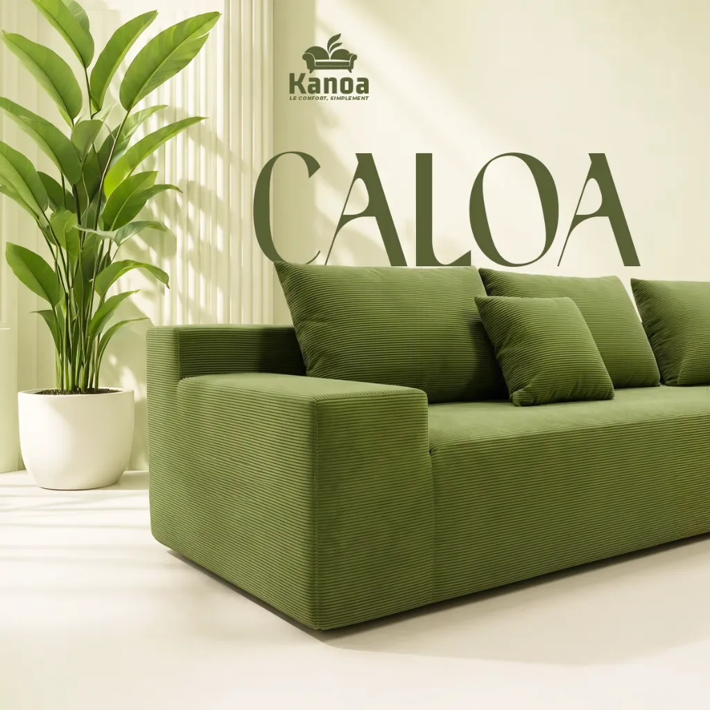 MES-CALOA2.webp
