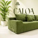 MES-CALOA2.webp