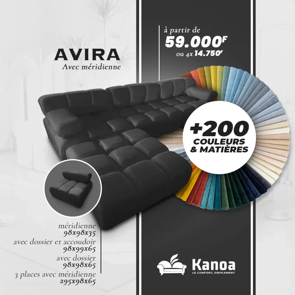 Module Avira avec dossier et accoudoir